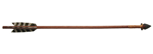 Ceremonial Arrow